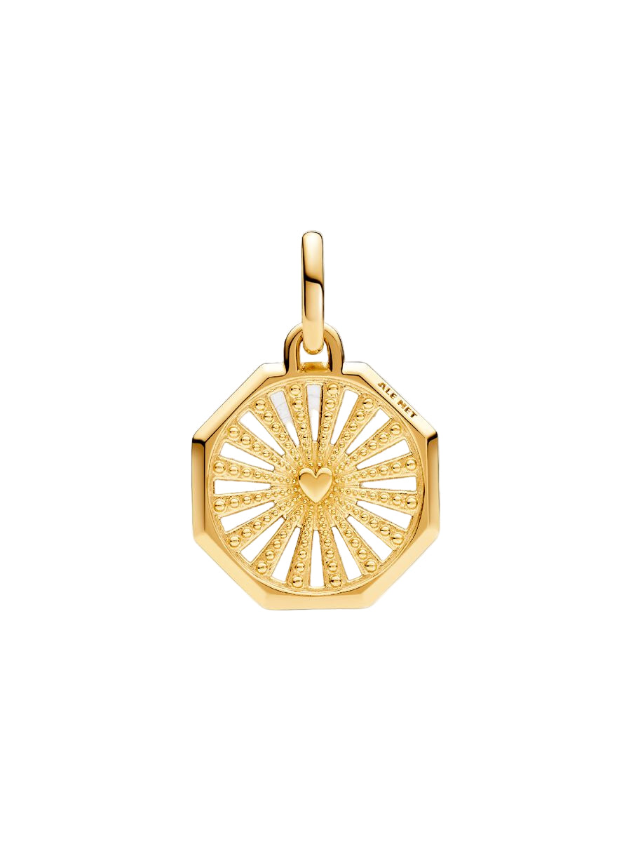 ME Lucky Horseshoe Medallion Charm 14k gold plating