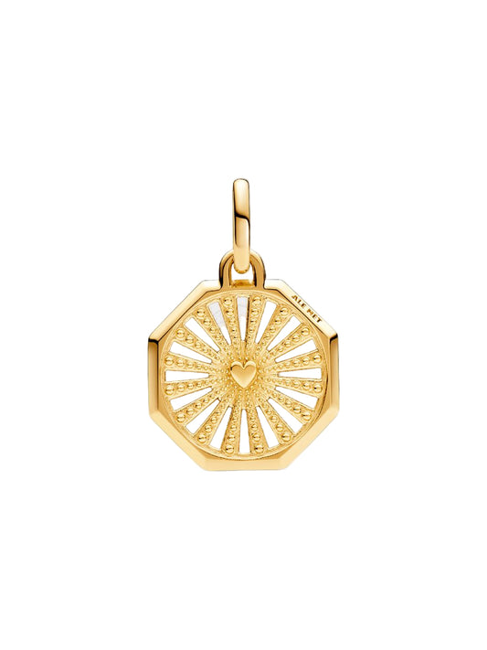 ME Lucky Horseshoe Medallion Charm 14k gold plating