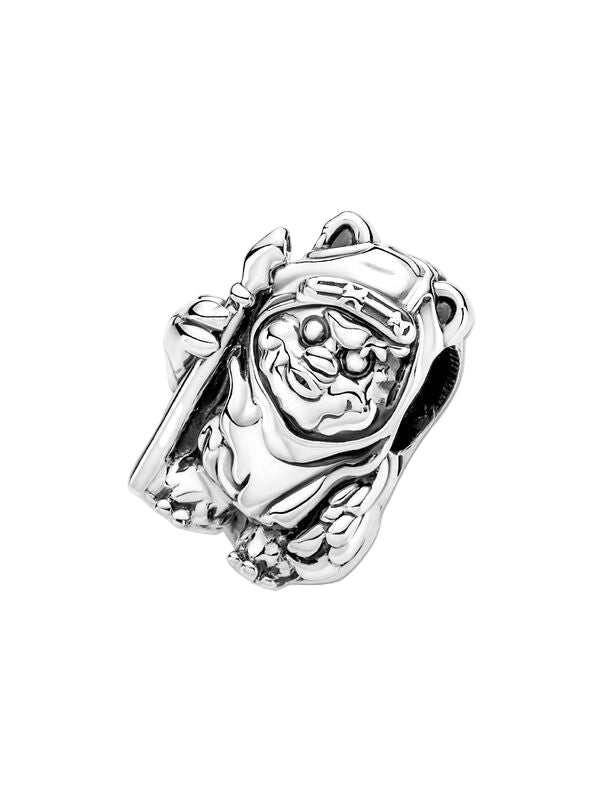 Star Wars™ Ewok™ Charm