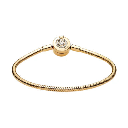 Snake Chain Bracelet