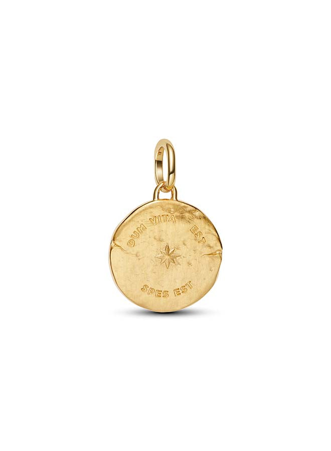 Swallow Medallion Charm